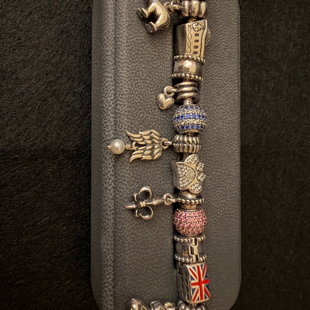 Pandora Bracelet and 13 Charms!